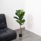 2 Green 3 ft Fig Tree Potted Artificial Plants Wedding Party Home Decorations